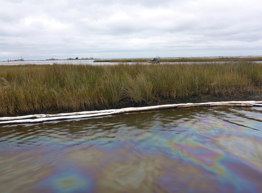An oil sheen in a marsh with pollution sorbent around it.