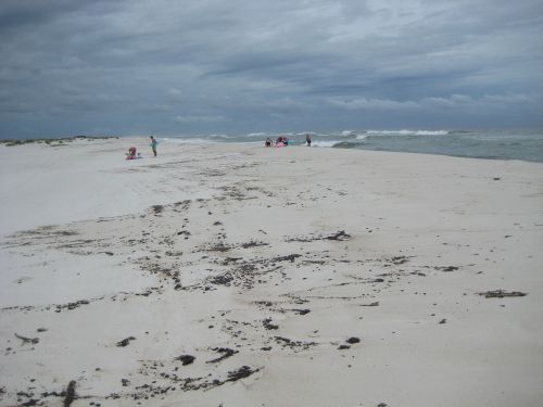 people walking on beach with tarballs