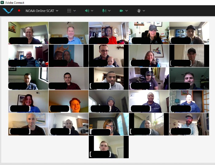 A screenshot of a video meeting.