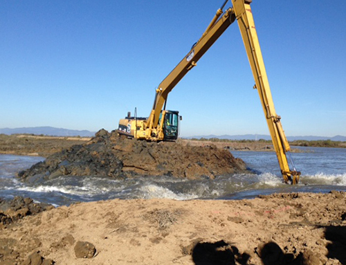 Excavator digging sediment from a wetland bottom.