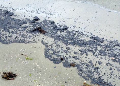 Photo of oil on the beach following the oil spill in Galveston Bay.