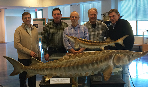 Five men posing in front of a taxidermied Sturgeon