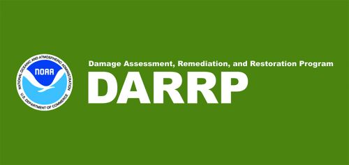 DARRP logo and NOAA logo