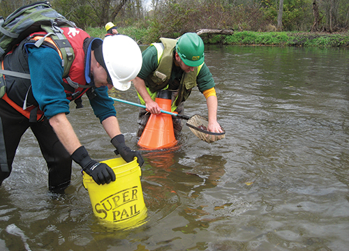 Men sampling in a river with buckets.