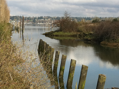 Posts emerging from a bay.