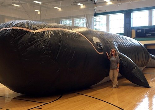 Giant inflatable whale with person standing next to it.
