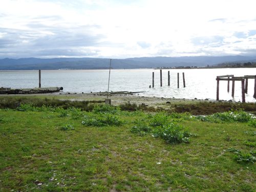 Photo of docks and building debris on the shore of the bay.