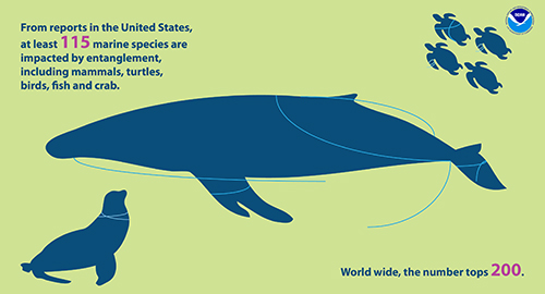 Poster showing a whale and a seal entangled with string.