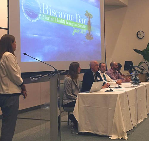 Speaker stands next to a seated panel.