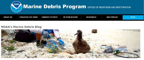 Marine Debris web banner.