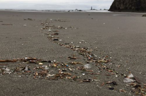 Plastic debris on a beach.