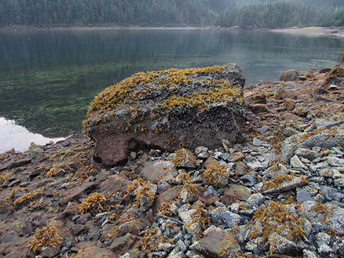 A large rock on a rocky beach.