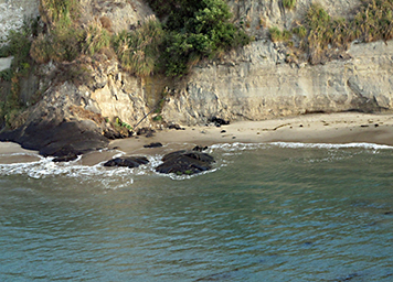 Large oiled rocks at the edge of the beach. 