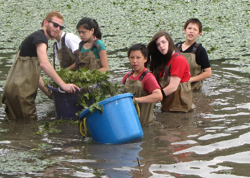 Group of children in water with bucket and vegetation.