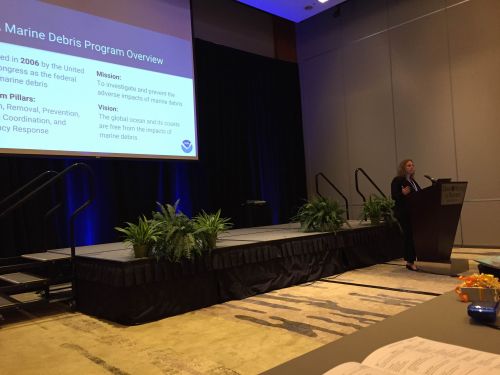 Woman presenting in front of a large screen.