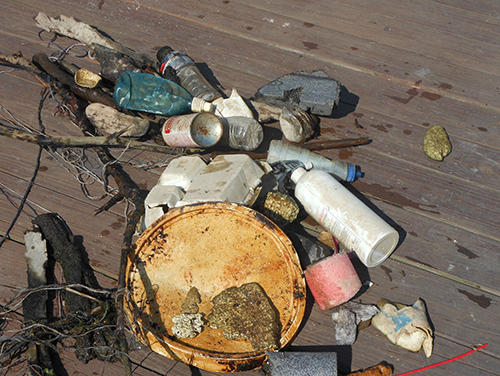 Debris pulled from Lake Erie laying on a dock. 