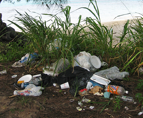 Trash, including plastics laying on a beach.
