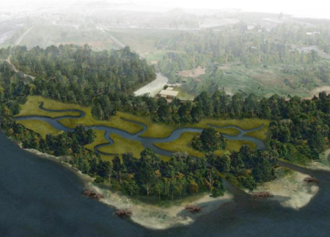 Illustration of healthy forested habitat along a river bend.