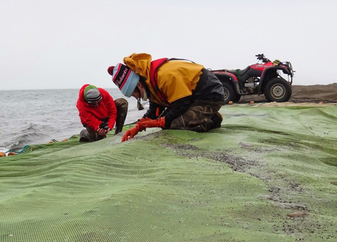 Scientists collect young fish and plankton from a net on the Alaskan coast.