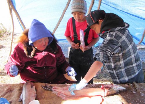 An Alaska Native expert teaches two boys how to cut and prepare pike for drying.
