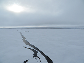 Crack in the ice extending to the horizon in the Arctic Ocean. 
