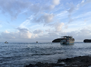 The 49-foot-long catamaran M/V Aubi aground along the north coast of Puerto Rico