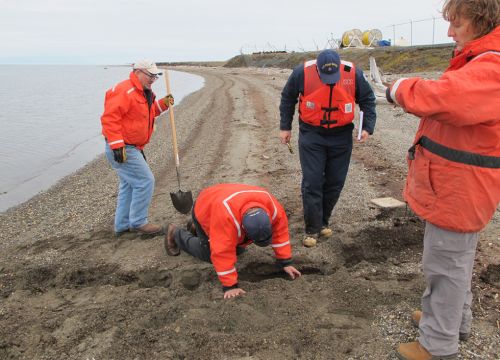 People digging holes and holding clip boards on a beach.