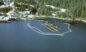 Boom floating on the water surface to protect a salmon hatchery from oil.