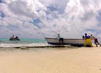During the 2013 cruise, the NOAA team discovered and hauled away a 23-foot-long boat that was confirmed to have been washed away from Japan during the 2011 earthquake and tsunami. (NOAA) The NOAA team hauls off a beach a 23-foot-long boat from the Japan tsunami.