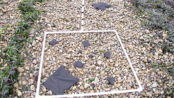 Black squares inside a square of PVC piping on the ground.