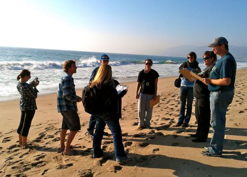 Group of people with clipboards on a beach.