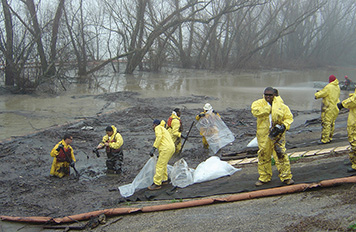 Cleanup workers collect oily debris in bags on the Mississippi River's banks.