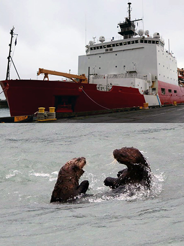 Top: Coast Guard icebreaker. Bottom: Sea otters in water.