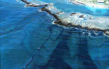 Oil slicks moving onto coral reefs at Galeta after the Bahia las Minas oil spill