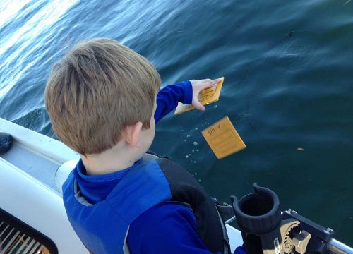 A young boy drops wooden yellow cards off the side of a boat into water.