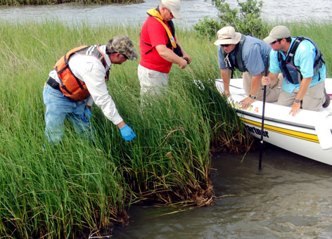 Workers in a marsh and boat.