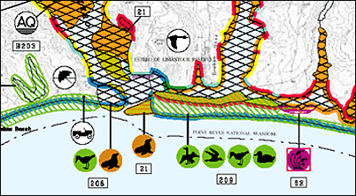 Environmental Sensitivity Index maps close-up.