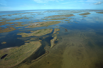 Aerial view of estuary.