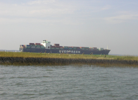 Pelicans and oiled marsh in front of the container ship M/V Everreach in 2002.