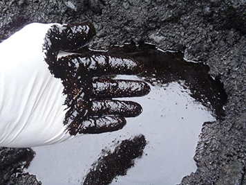 Heavy residual oiling remains in sediments in Prince William Sound.