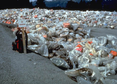 Bags of oiled waste on a beach next to a No Smoking sign.