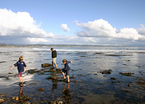 Family playing in tidepools in Santa Cruz, California.