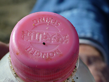 Bottle with Asian characters on the cap.