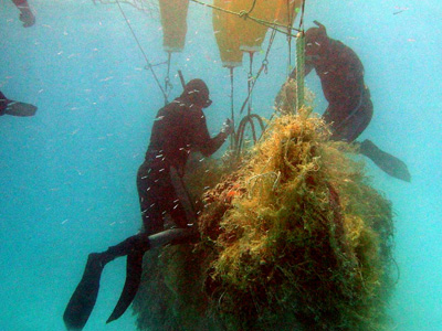 Photo: Divers gather abandoned fishing nets left at sea.