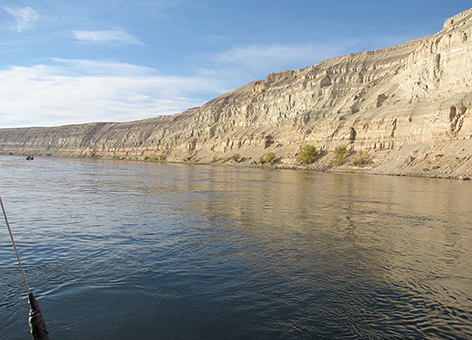 A view of the free-flowing section of Columbia River known as the Hanford Reach.