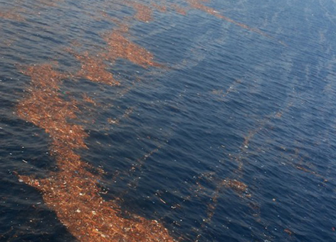 Early floating debris fields from the Japan tsunami.