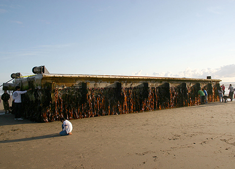 A 66-foot floating dock from Japan sits on Agate Beach, Oregon.