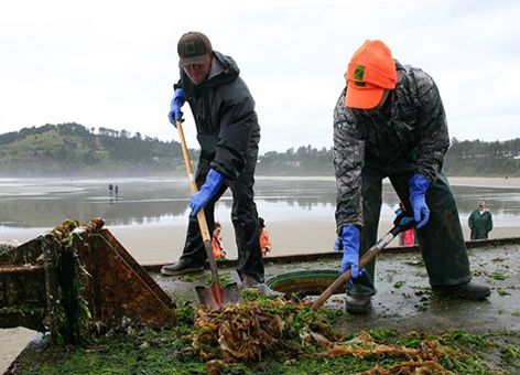 Workers scrape marine organisms from the tsunami dock at Agate Beach, Oregon.