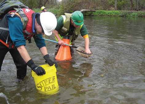 Scientists assessed mussel impacts from response to Kalamazoo River oil spill.
