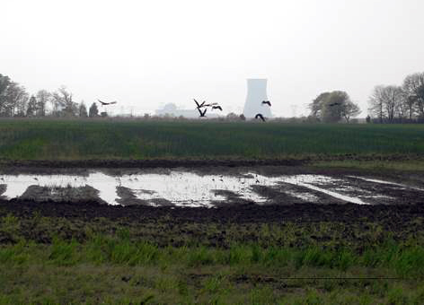 Birds flying over flooded fields with a nuclear plant in the background.